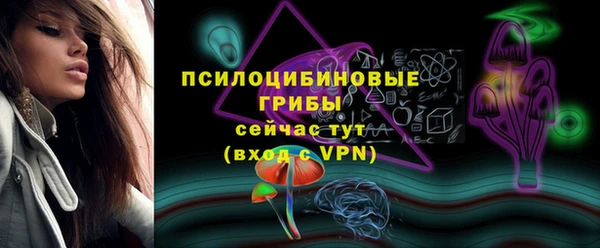 эйфоретик Ельня