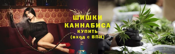 эйфоретик Ельня