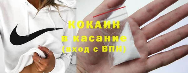 эйфоретик Ельня