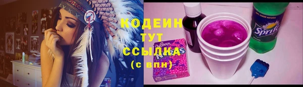 МДПВ Елабуга
