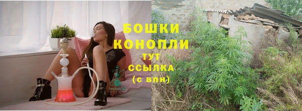 эйфоретик Ельня