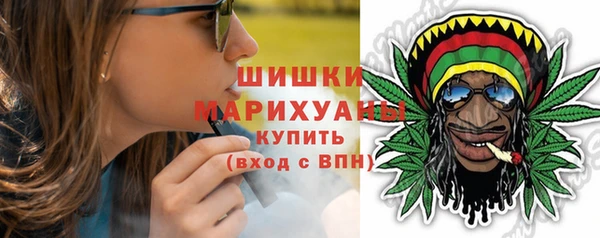 МДПВ Елабуга