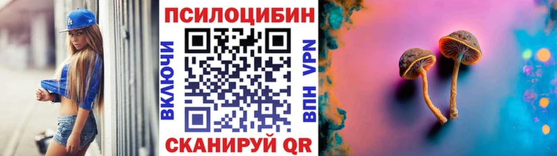 Галлюциногенные грибы Cubensis Боровичи